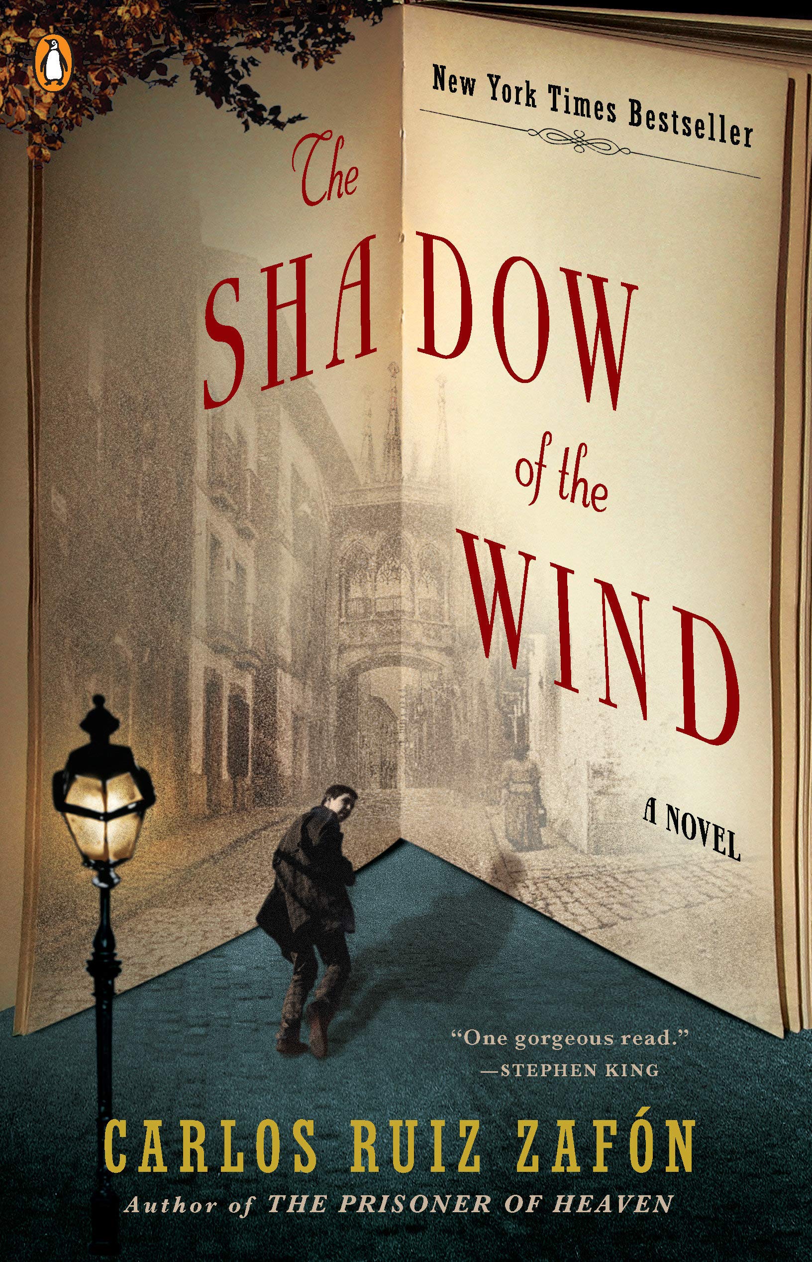 The Shadow of the Wind (The Cemetery of Forgotten Books, #1)