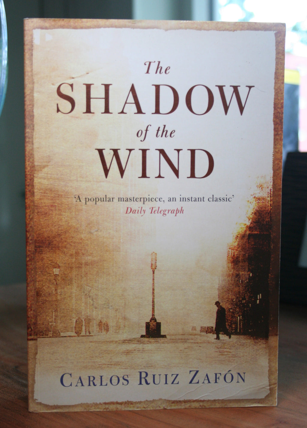 The Shadow of the Wind (The Cemetery of Forgotten Books, #1)