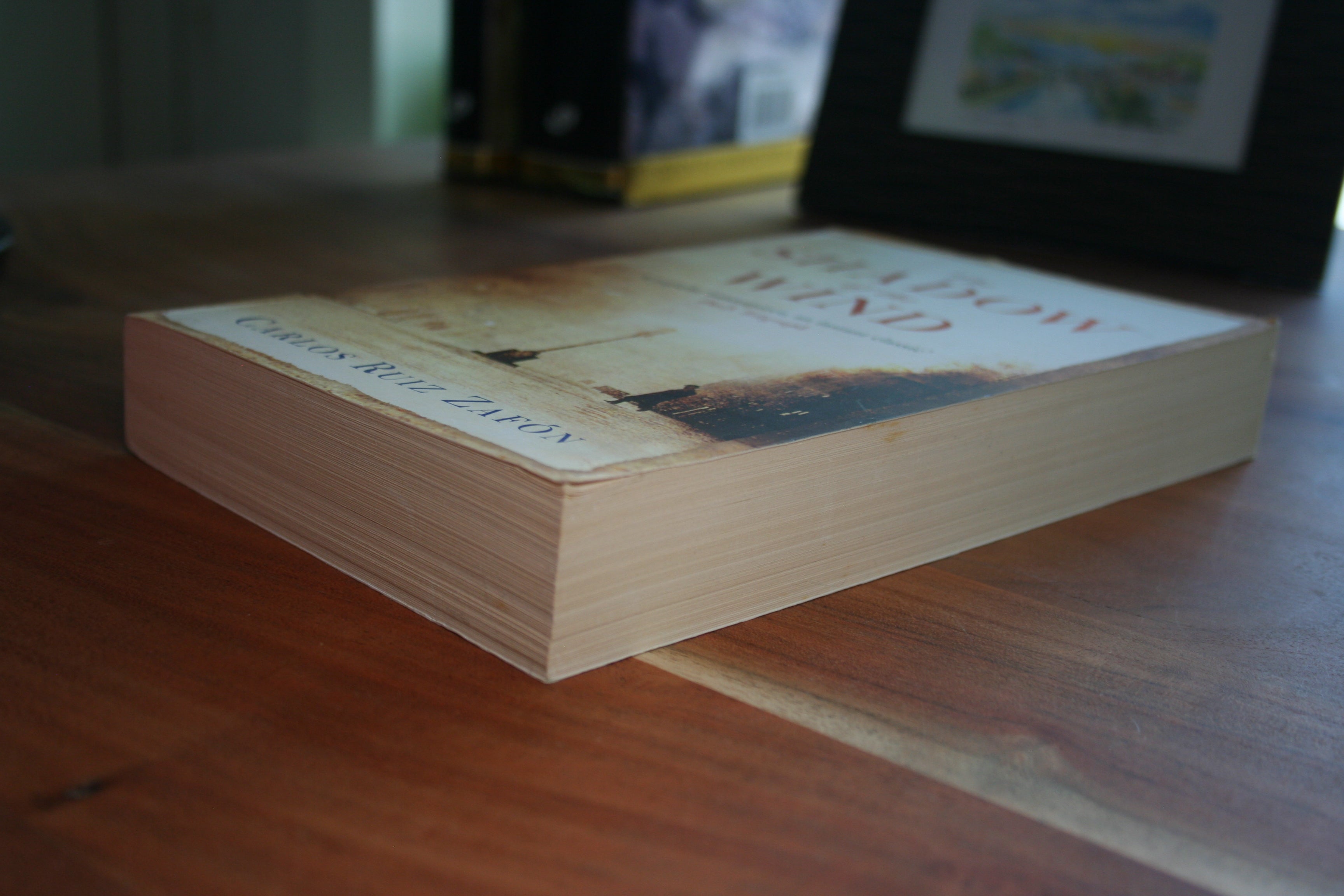 The Shadow of the Wind (The Cemetery of Forgotten Books, #1)