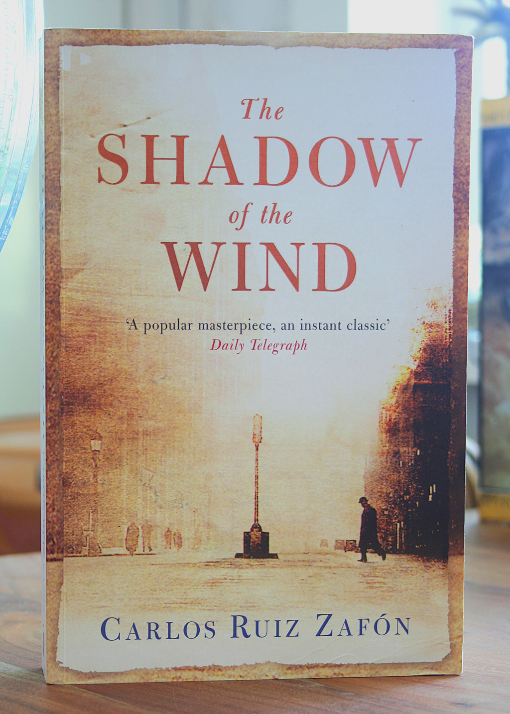 De schaduw van de wind (Het kerkhof der vergeten boeken, #1)